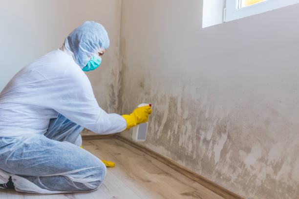 Hvac And Air Duct Mold Remediation inspection of HVAC system in Remington