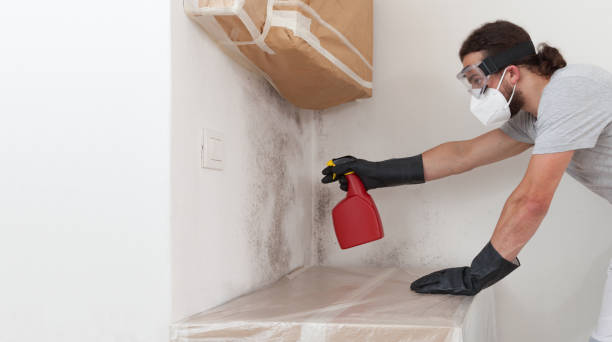 Attic Mold Remediation treatment on roof deck in Remington